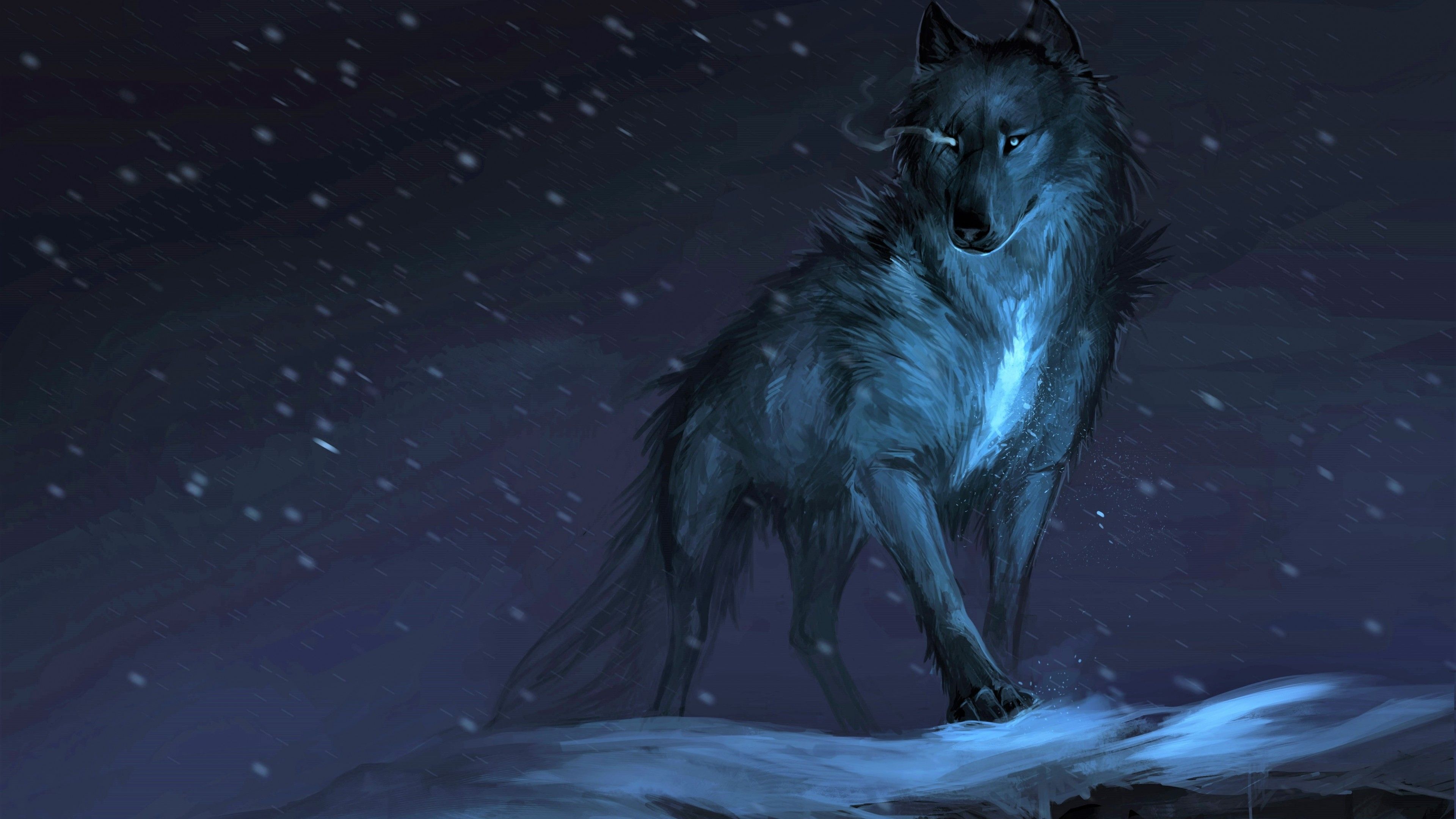 3840x2160 Wallpaper Arctic Wolf, Great Dane, Carnivore, Dog Breed, Snout, Background Free Image