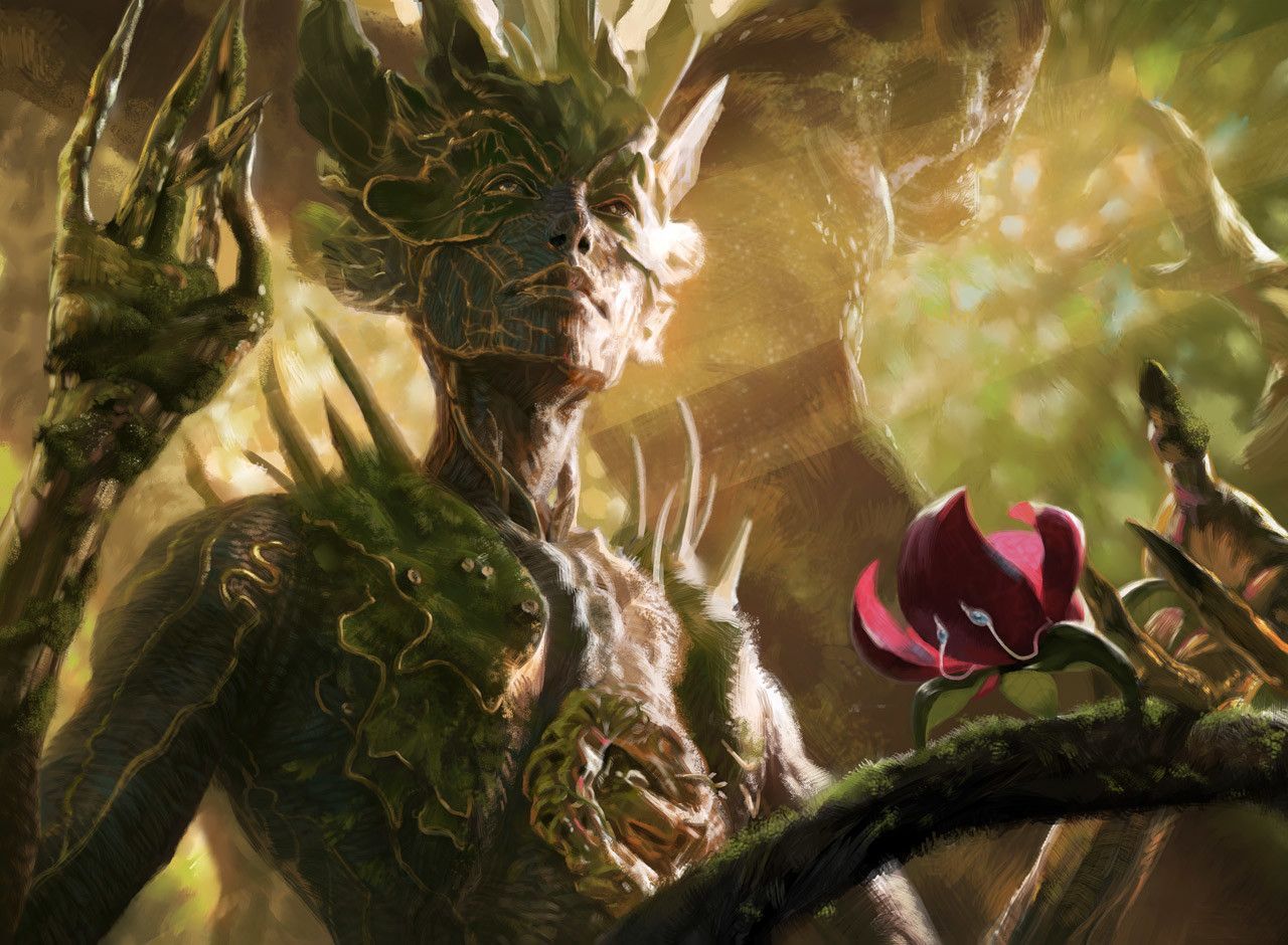 1280x940 Tendershoot Dryad Magic The Gathering Artwork 8XDOE. Magic The Gathering, Dryads, Mtg Art