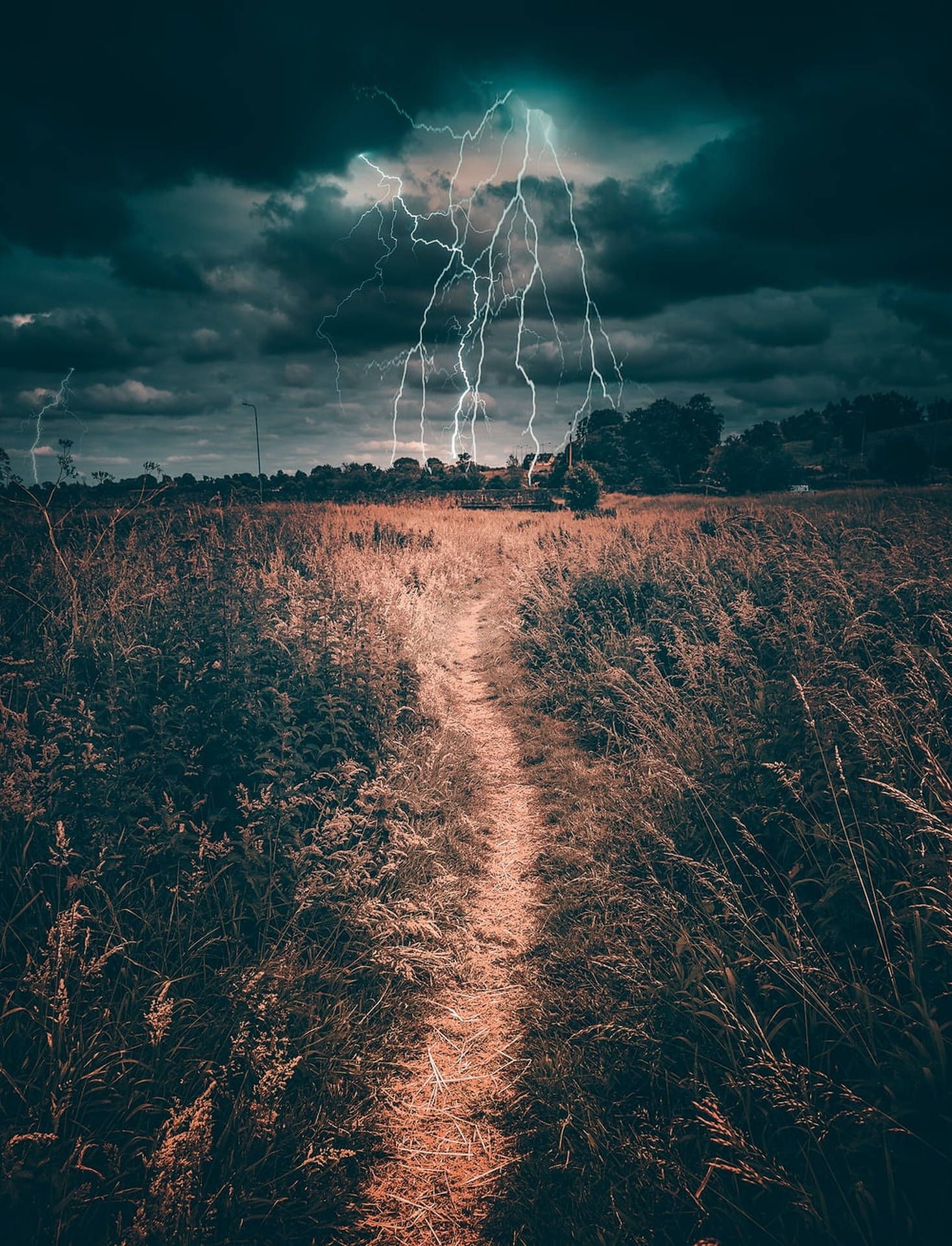 1467x1920 Download Bad Weather Portrait Wallpaper