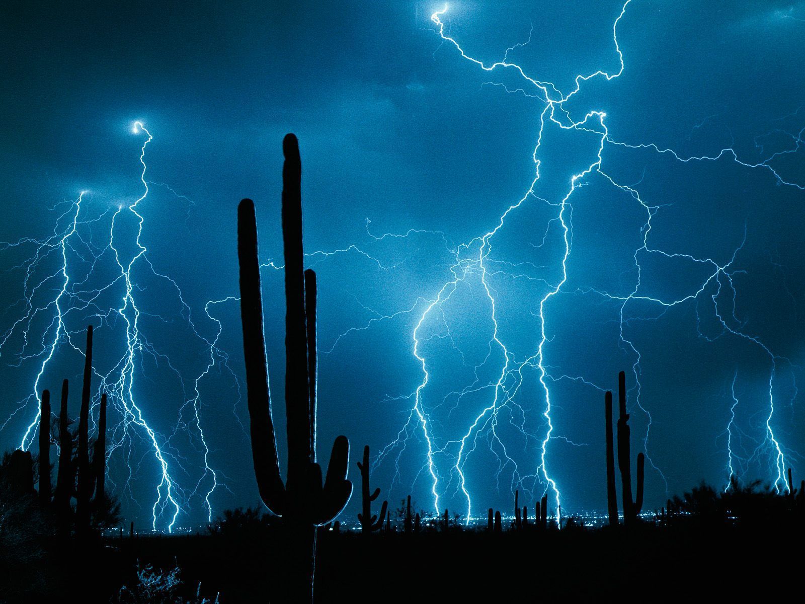 1600x1200 Stormy Weather, Saguaro Cactus wallpaper bassq n