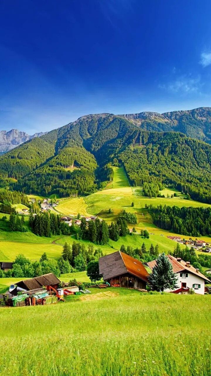 720x1280 Nagaland ideas. nagaland, northeast india, tourist places