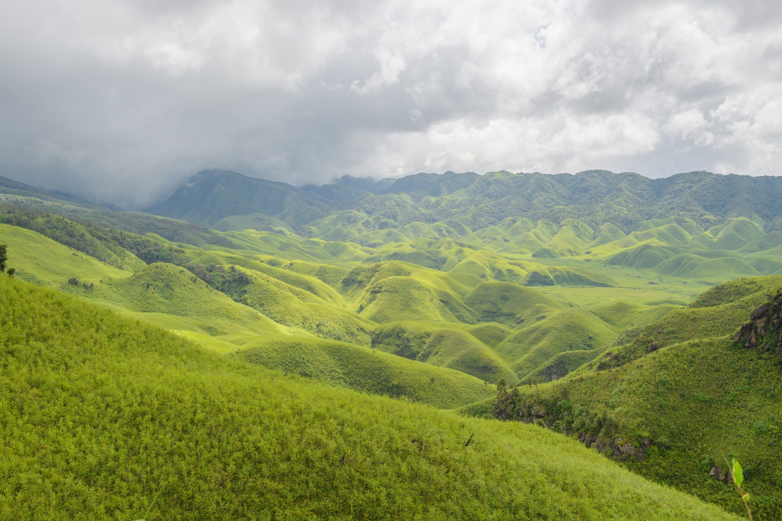 2560x1707 Dzukou Valley, Nagaland & Manipur