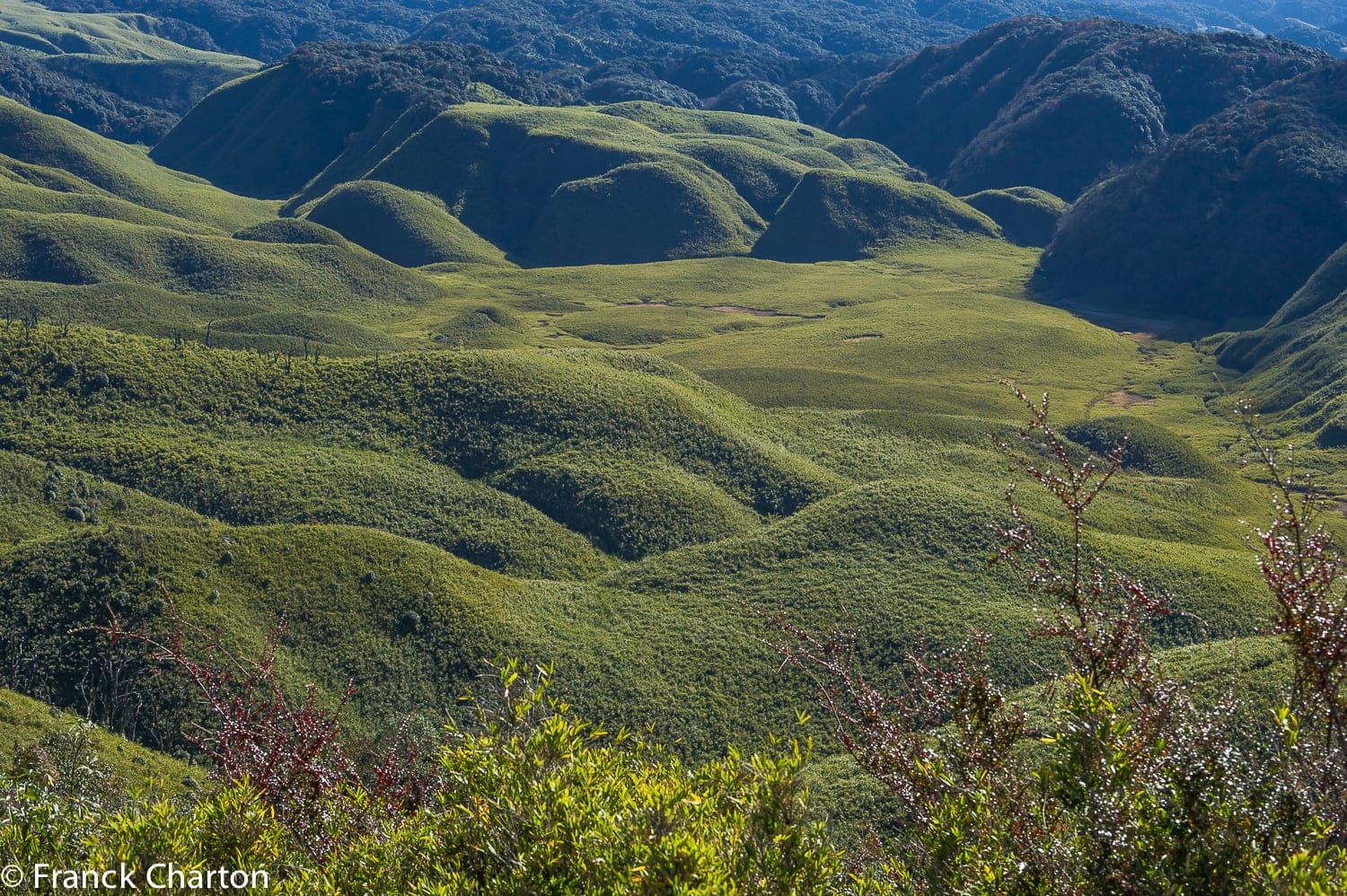 1500x998 Nagaland by Foot en Inde du nord est