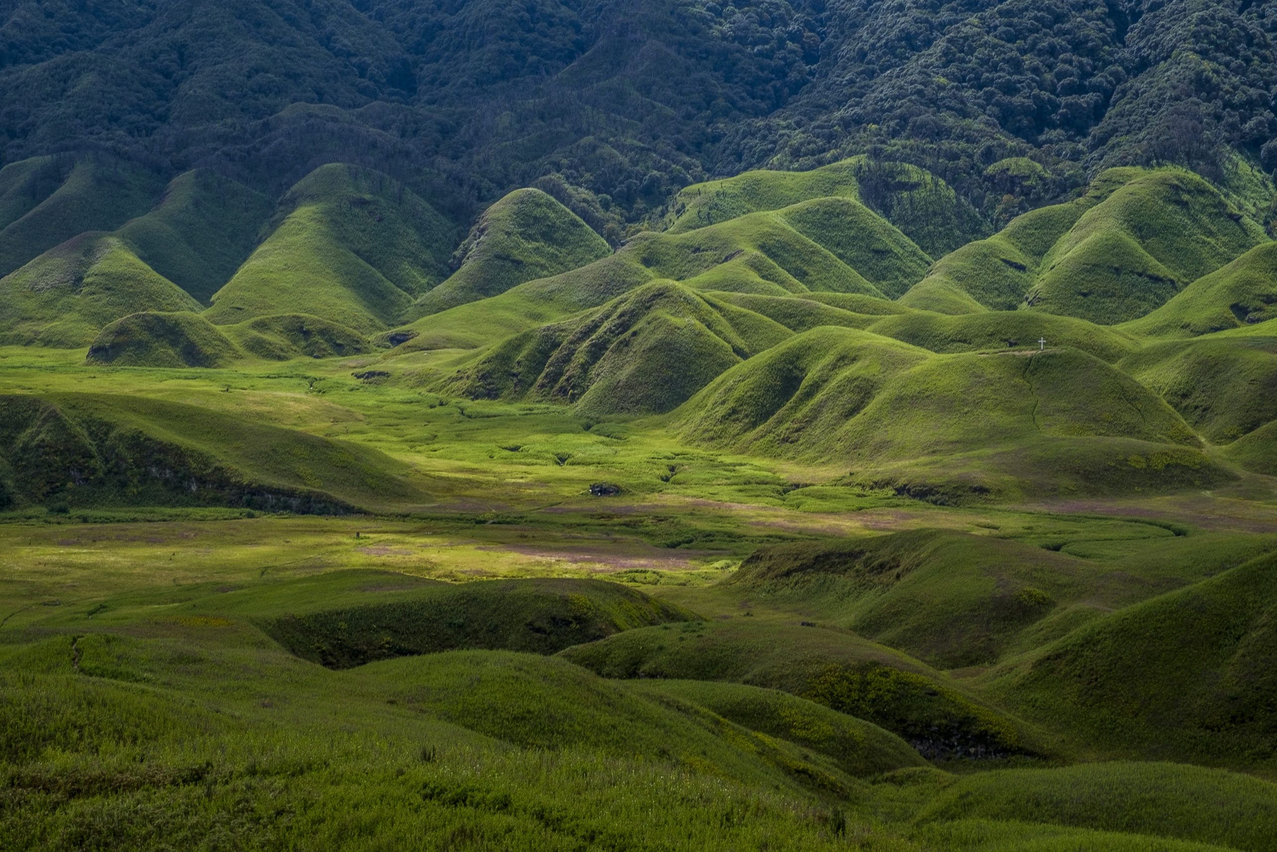 2566x1711 Dzukou Valley in Nagaland, India