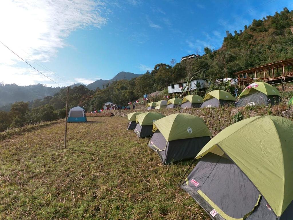 1024x768 Camp Hornbill Nagaland, Viswema