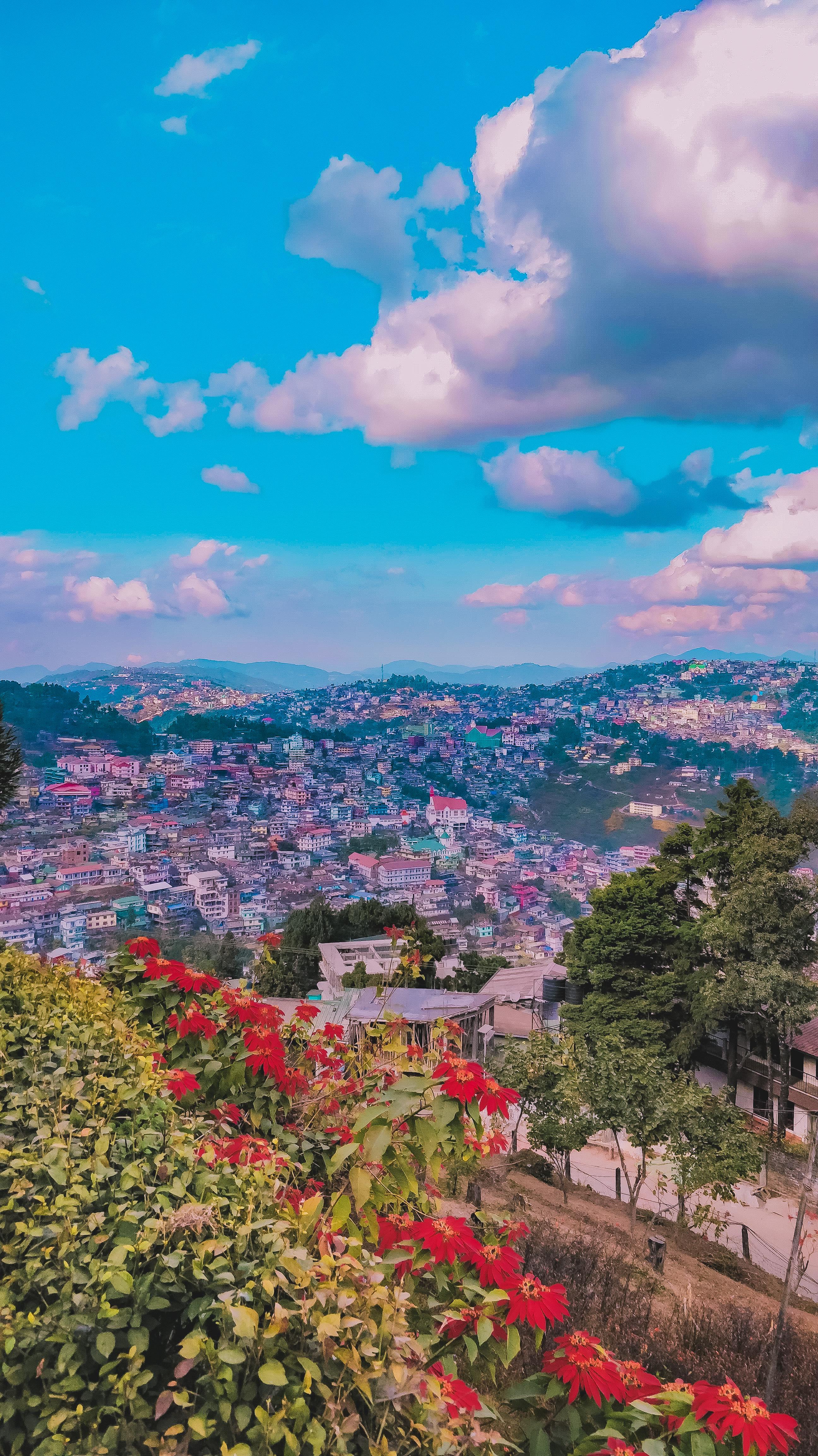 2592x4608 Kohima, Nagaland, India. One of the most beautiful places I've ever visited <3