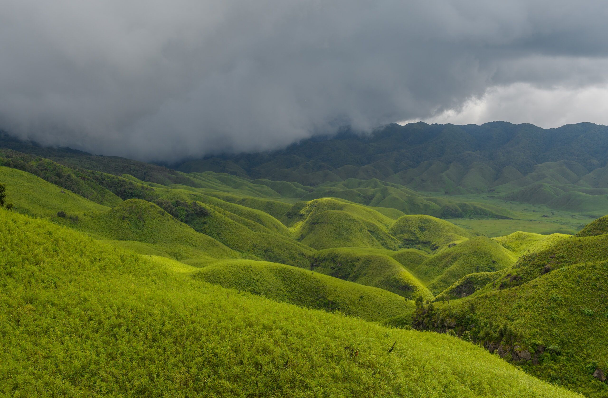2560x1677 Dzukou Valley, Nagaland & Manipur