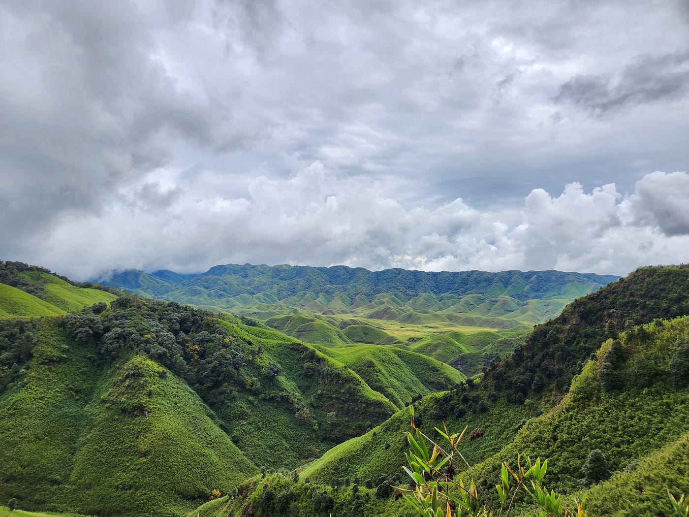 1400x1050 Dzukou Valley Trip