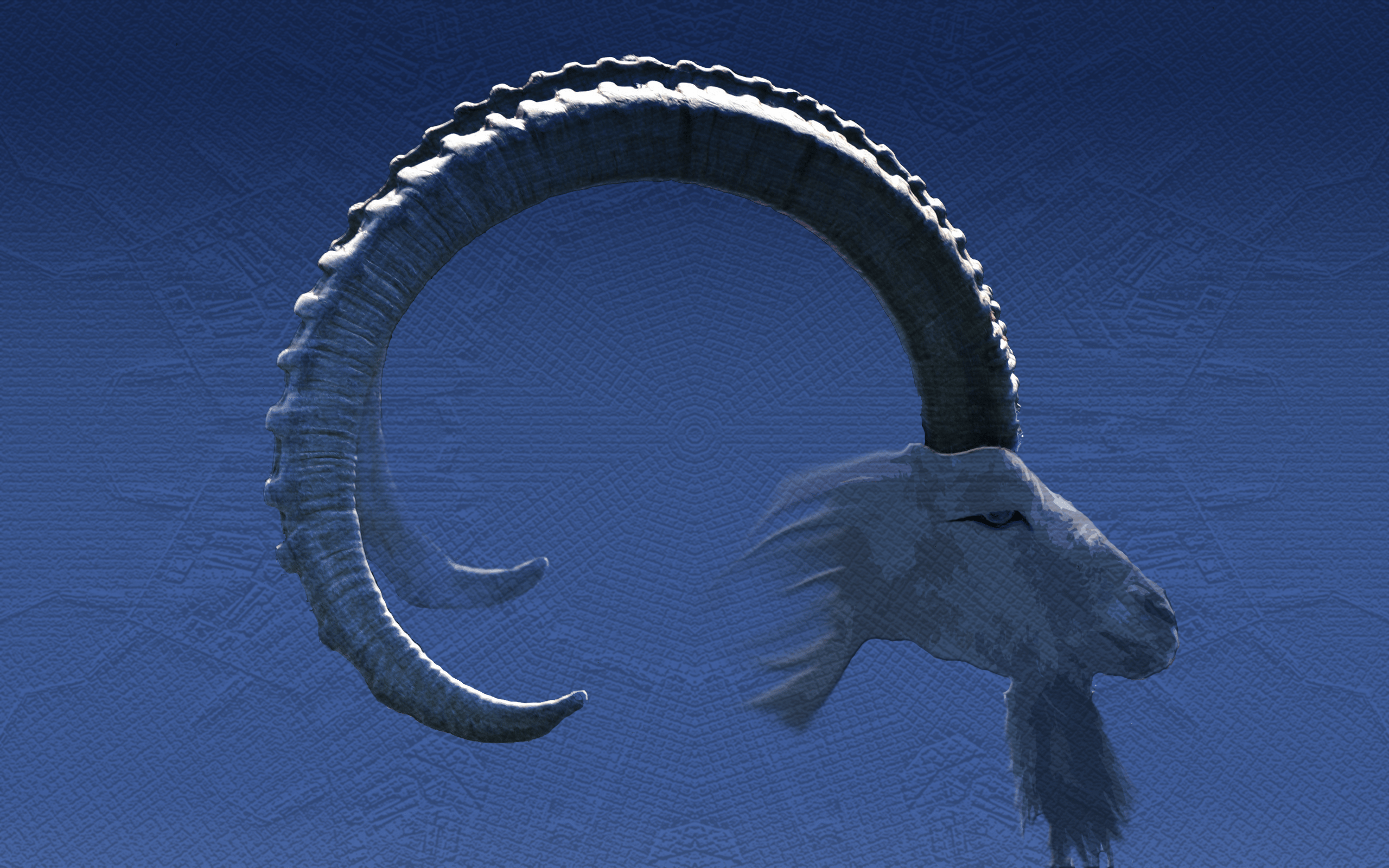 2560x1600 All sizes. Ubuntu 8.10 Intrepid Ibex Wallpaper Sharing!