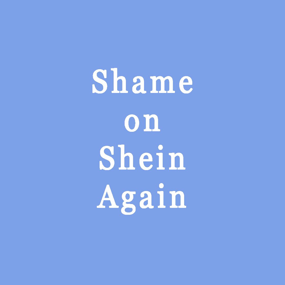 1116x1116 The New Shein Lawsuit GalleriesRehs Galleries