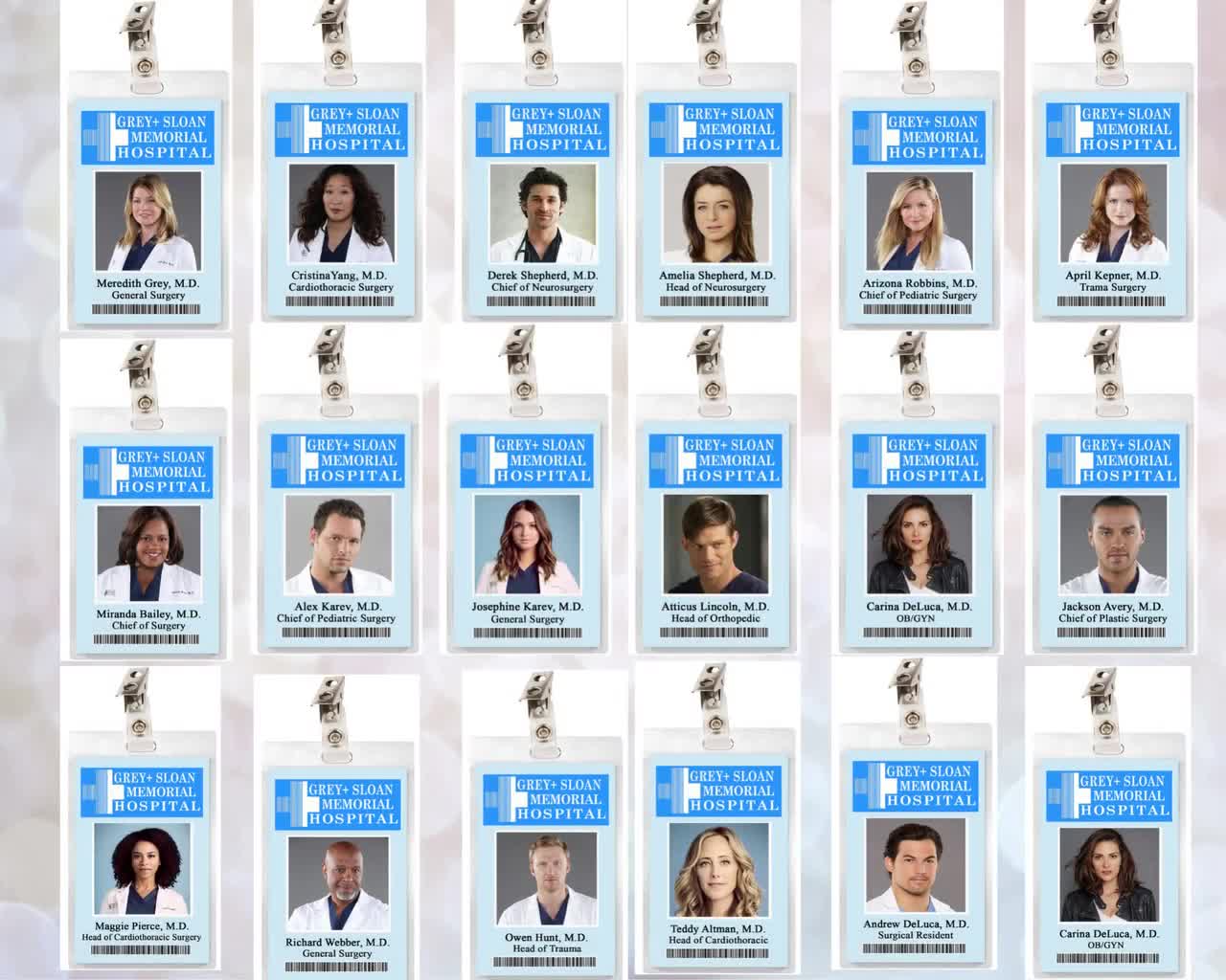 1280x1024 Grey's Anatomy Grey Sloan Memorial ID Badge: Meredith