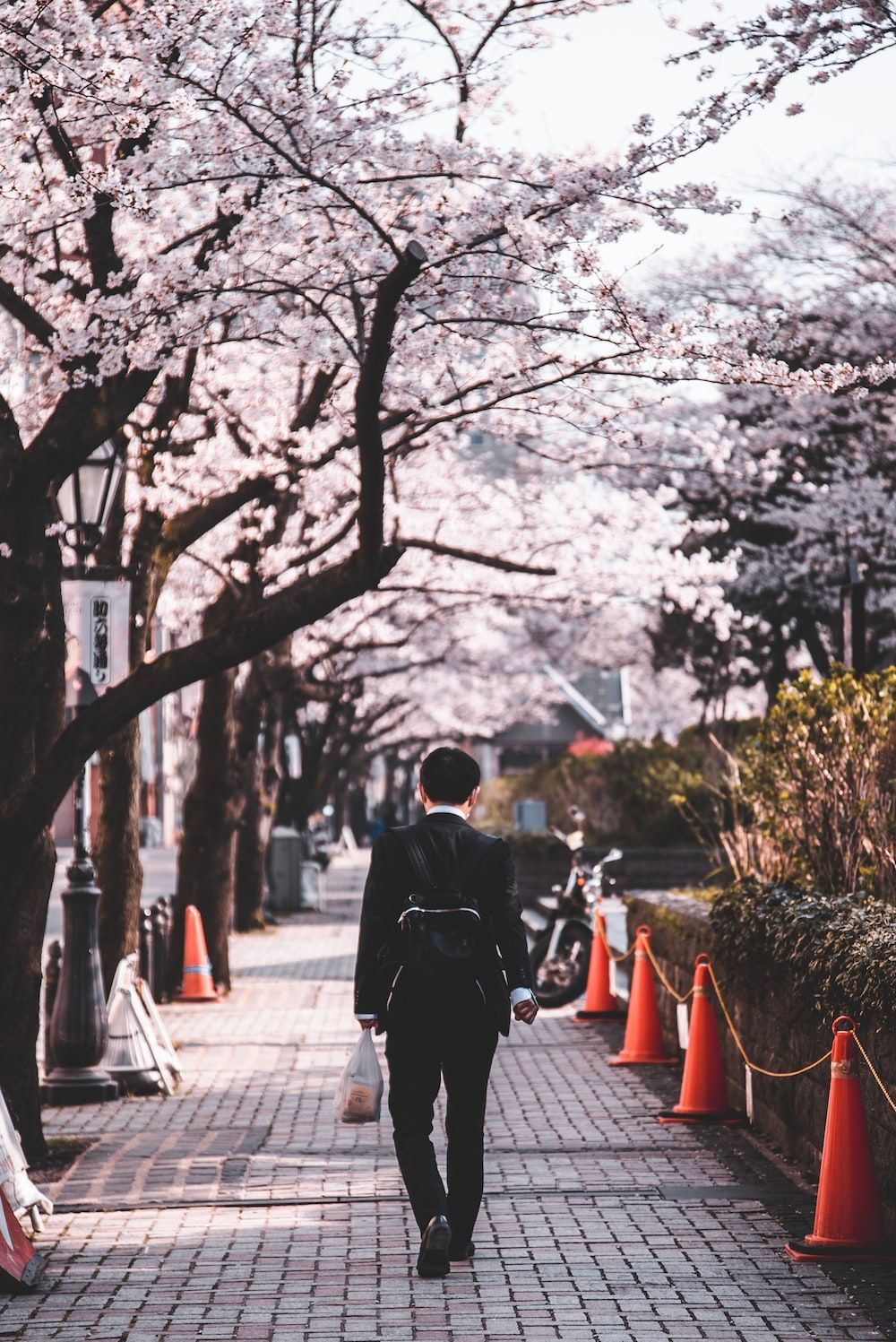 1000x1497 Japan Boy Picture. Download Free Image