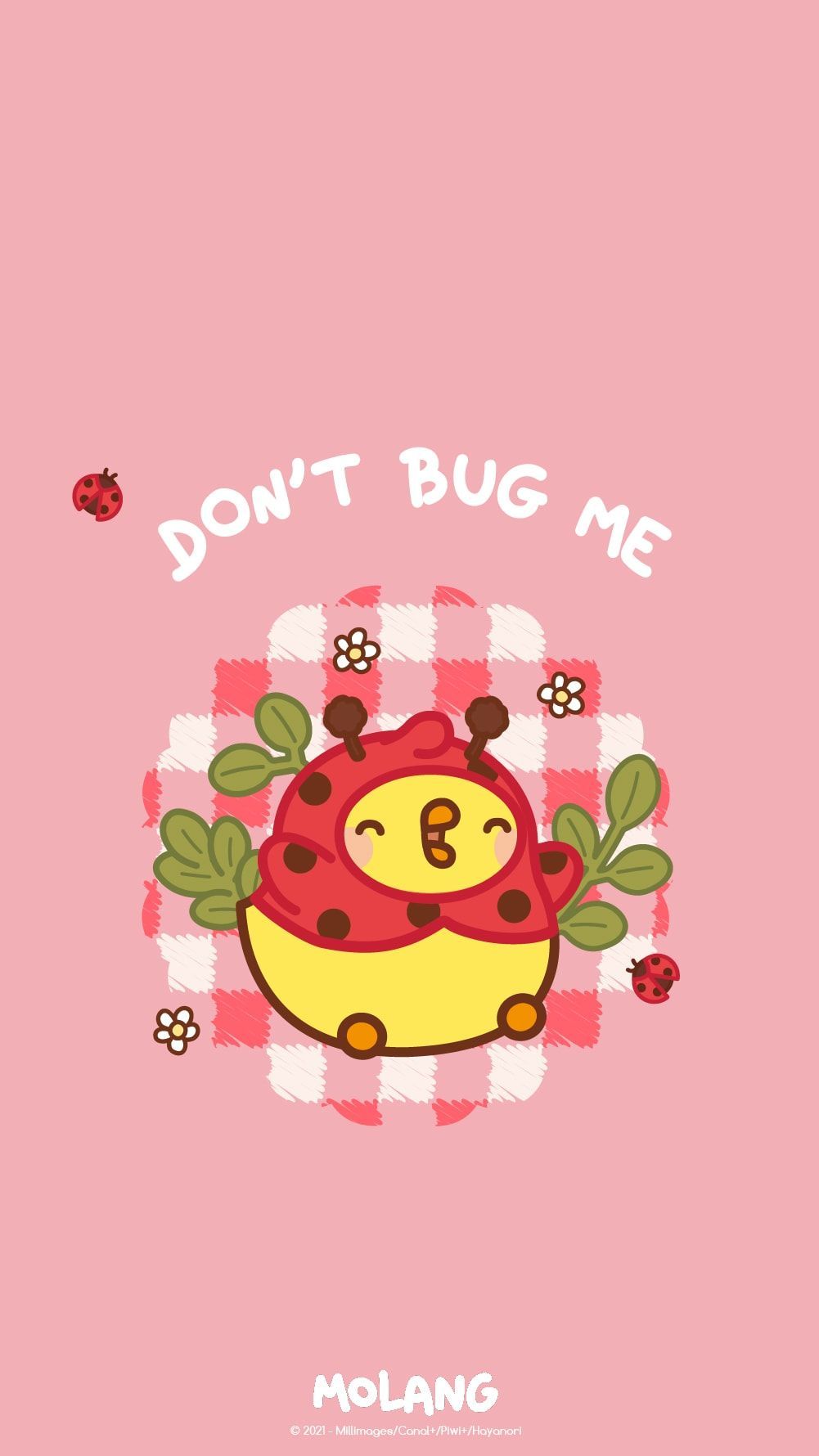 1001x1780 Molang Animal Wallpaper: Discover The Ladybug Wallpaper of Molang