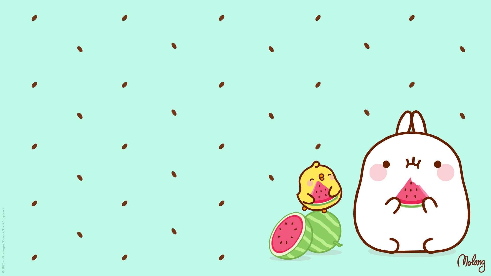 1920x1080 Yummy Watermelon Treat Desktop Wallpaper