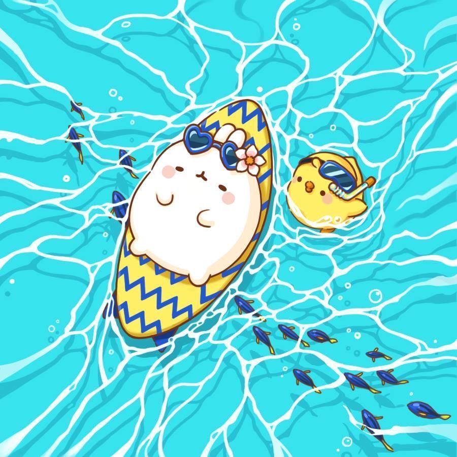 900x900 Molang & Korean Culture
