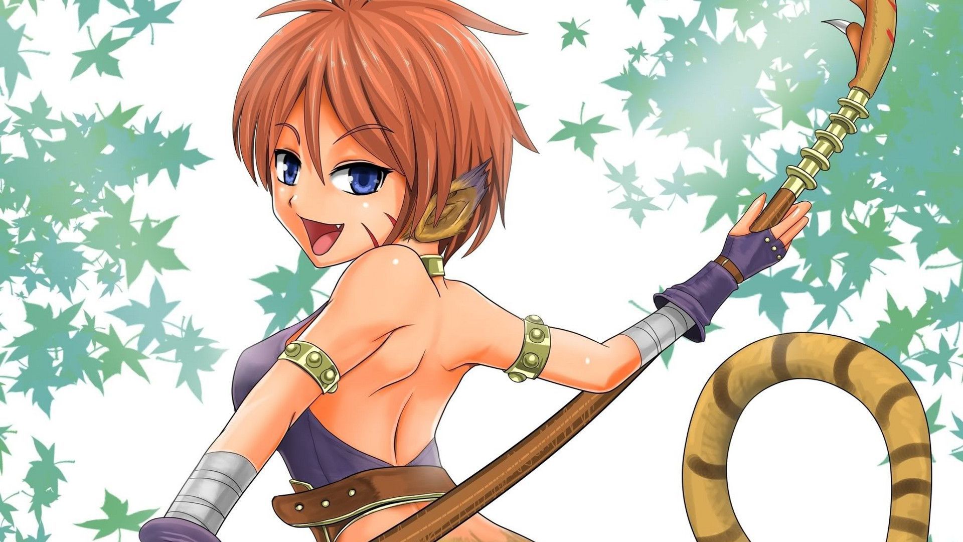 1920x1080 Download Breath Of Fire Ii wallpaper for mobile phone, free Breath Of Fire Ii HD picture