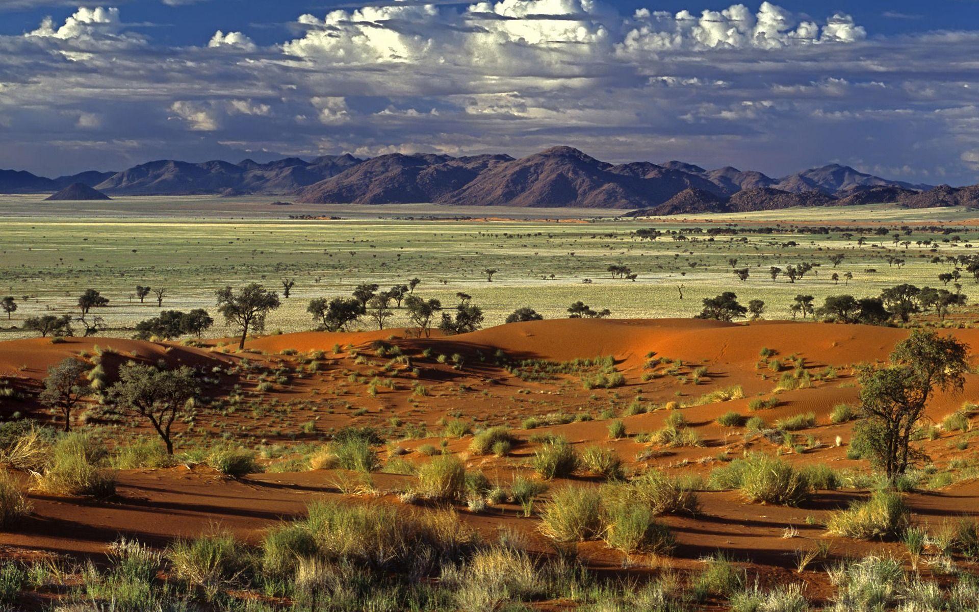 1920x1200 Tok Tokkie Desert Wallpaper Landscape Nature Wallpaper in jpg