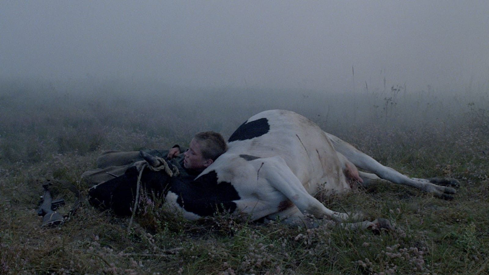 1600x900 Come and See' Review: An Unforgettable Fever Dream of War's Surreality