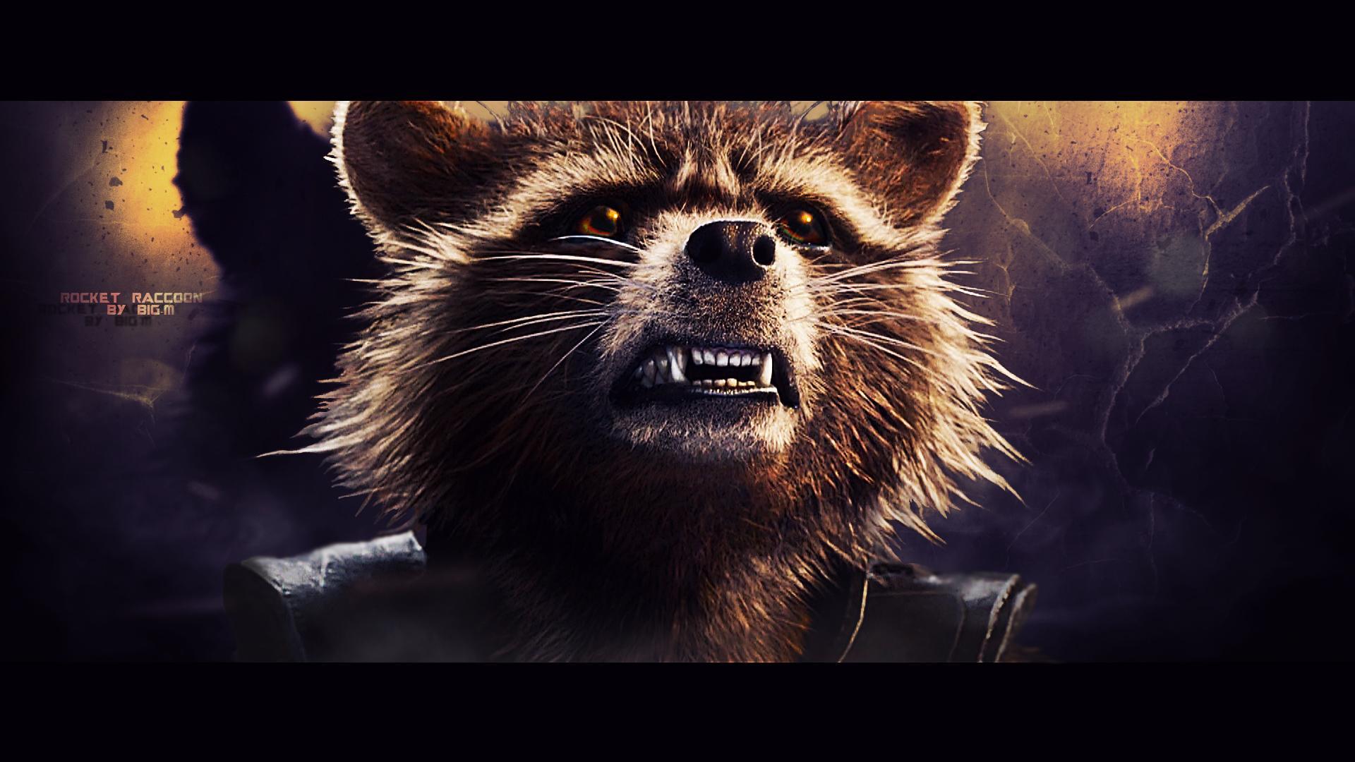 1920x1080 VK.379: Rocket Raccoon Wallpaper (1920x1080 px)