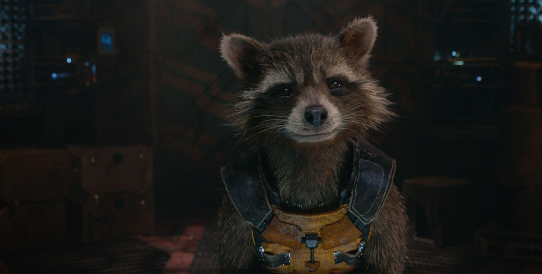 1800x910 Guardians of the Galaxy image Rocket Raccoon HD wallpaper