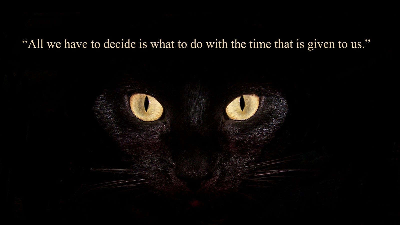 1600x900 Wise Sayings Wallpaper
