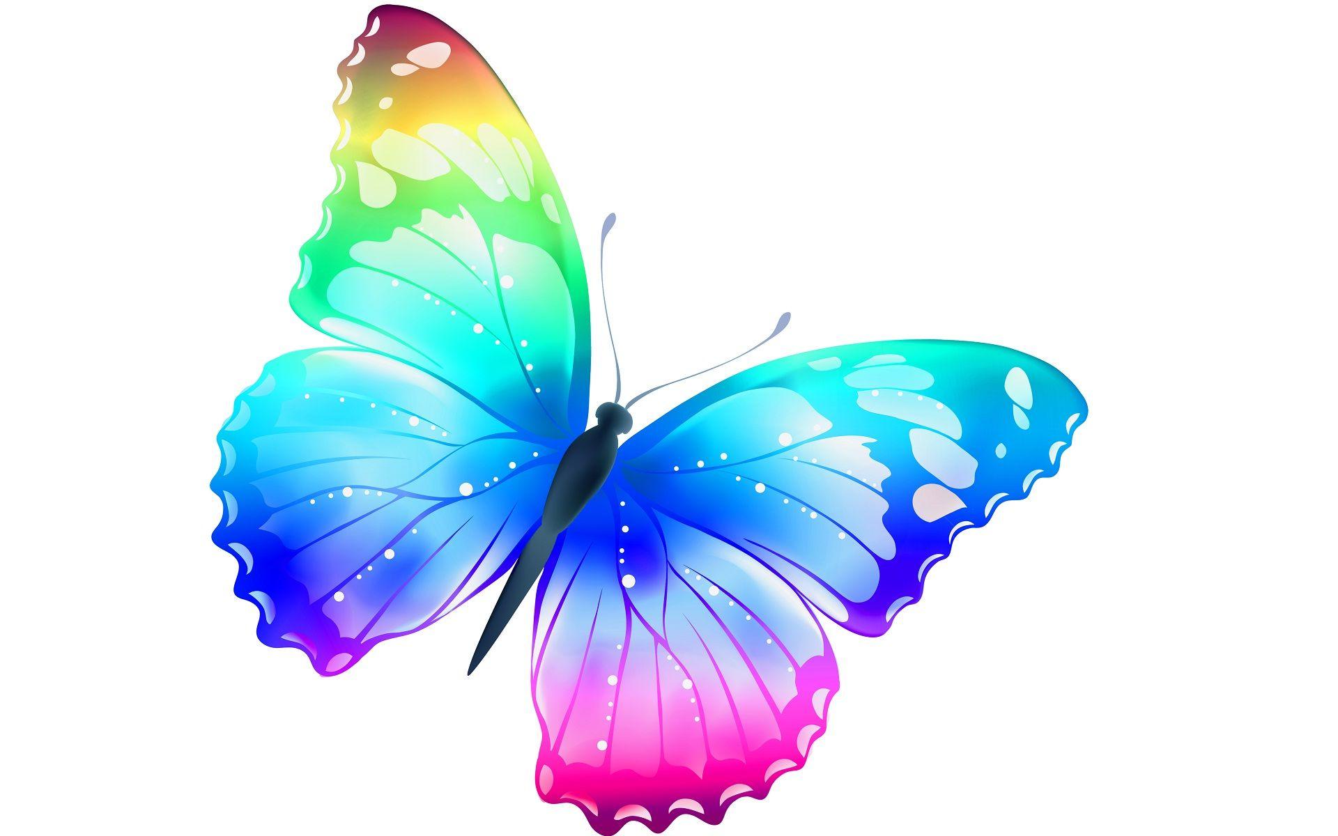 Butterfly Wallpapers - Top Free Butterfly Backgrounds - WallpaperAccess