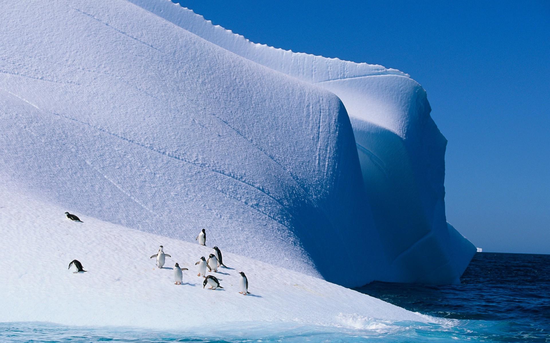 1920x1200 Iceberg Wallpaper