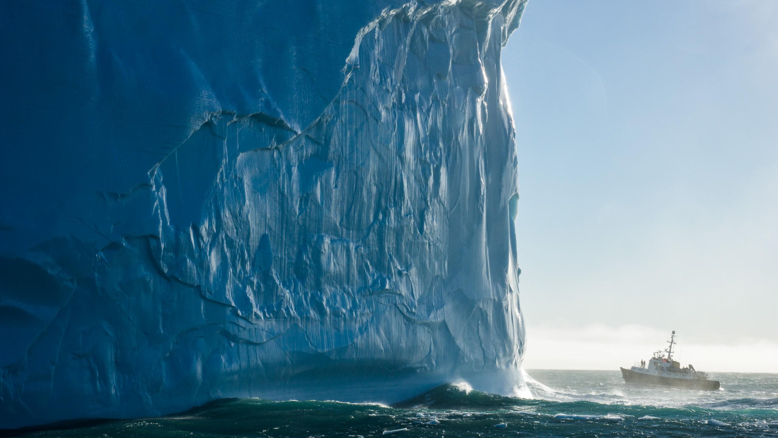 2560x1440 Wallpaper Iceberg, 4k, HD wallpaper, South Georgia, Atlantic Ocean