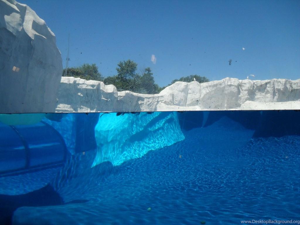 1024x768 Underwater Iceberg Wallpaper Wallpaper. Desktop Background