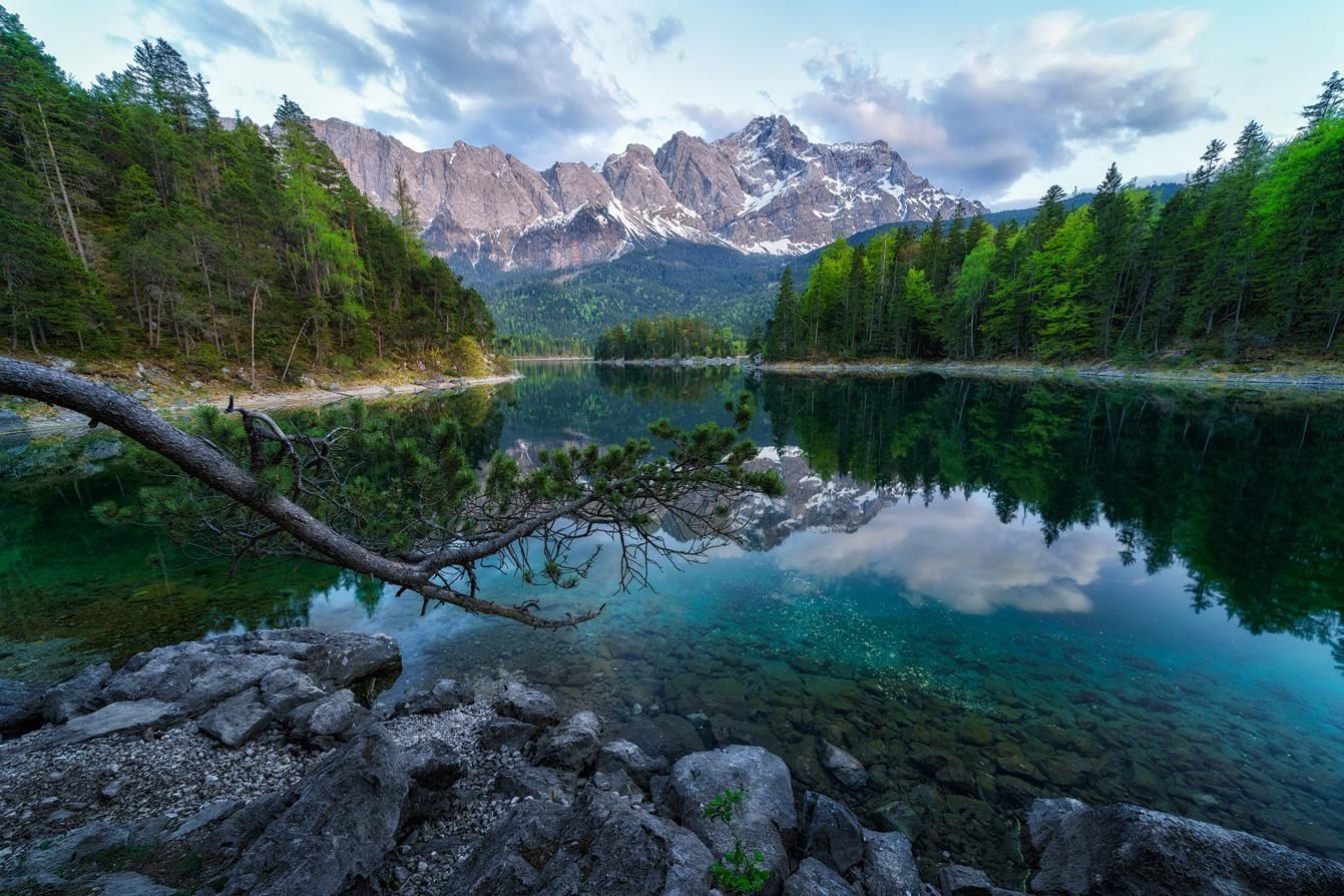 1341x894 Nature