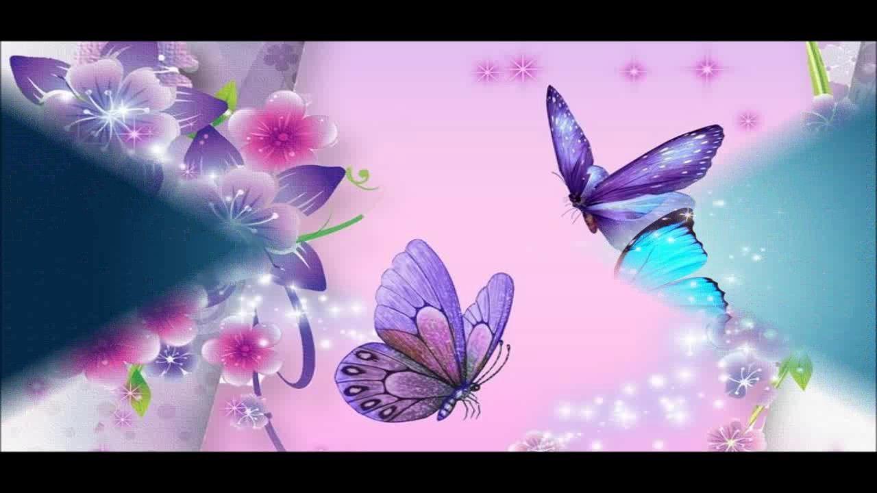 Butterfly Wallpapers - Top Free Butterfly Backgrounds ...