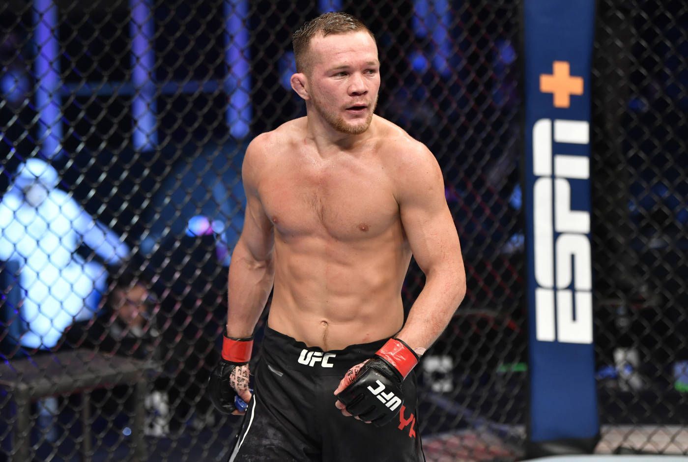 Petr Yan Wallpapers - Top Free Petr Yan Backgrounds - WallpaperAccess