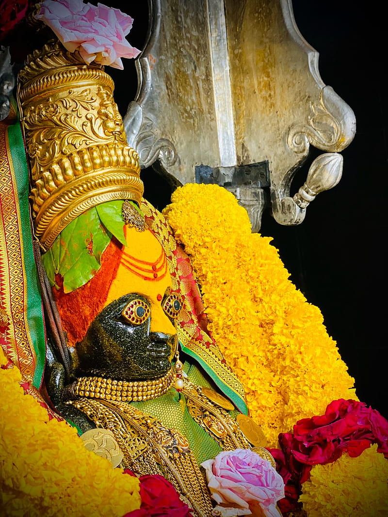 800x1067 HD tuljabhavani wallpaper