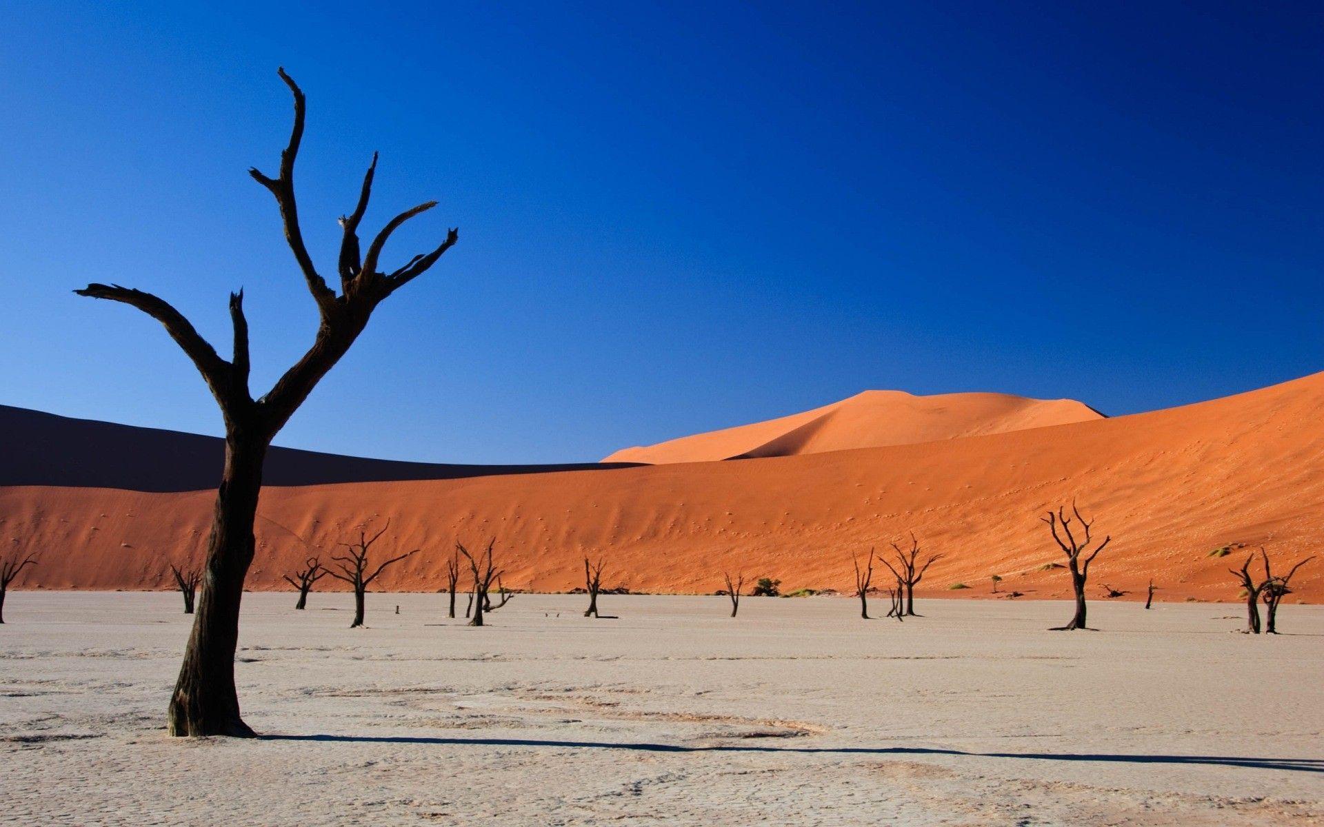 1920x1200 Desert Landscape Image