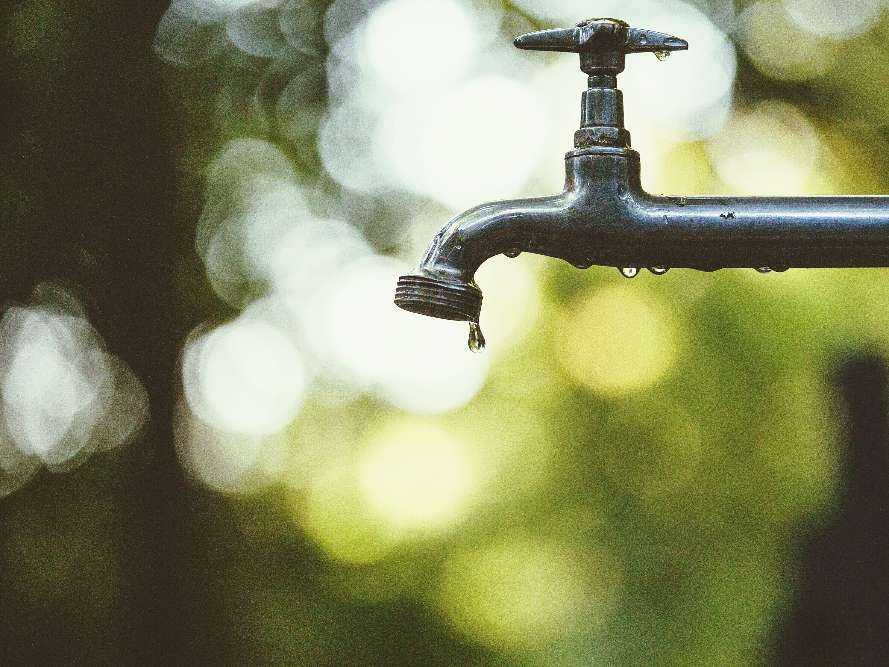 2970x2227 Norovirus Test For Drinking Water Using A Smart Phone Could Be Cheap And Fast : Shots