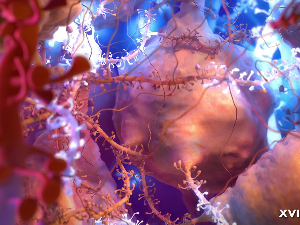 1024x768 Medical Wallpaper 8 X 768