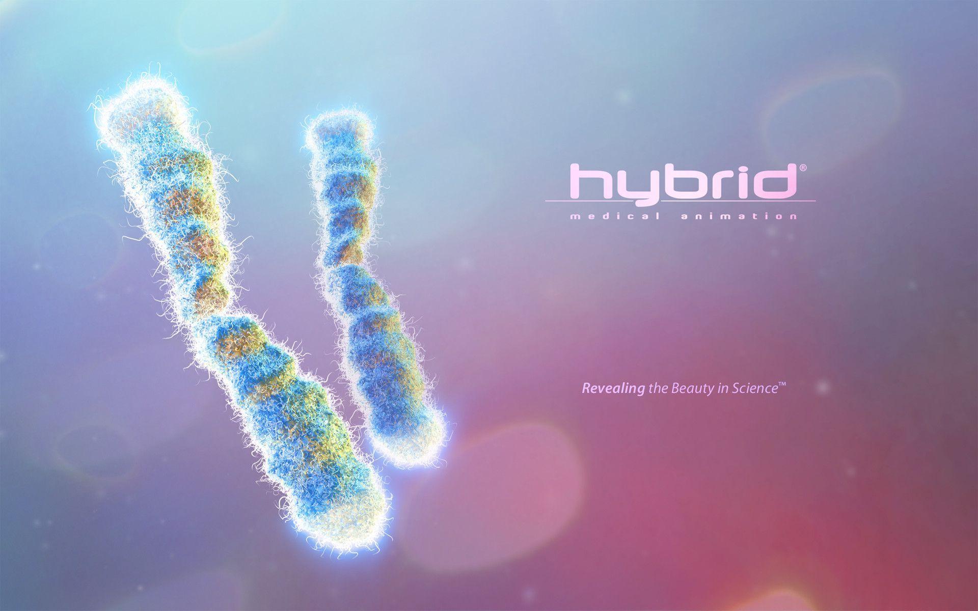 1920x1200 Medical Desktop Background