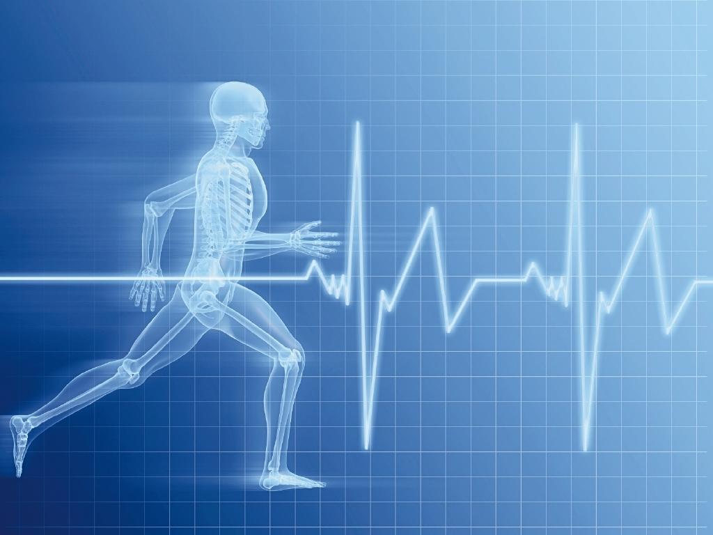 1024x768 New Health And Medicine Wallpaper FULL HD 1920×1080 For PC