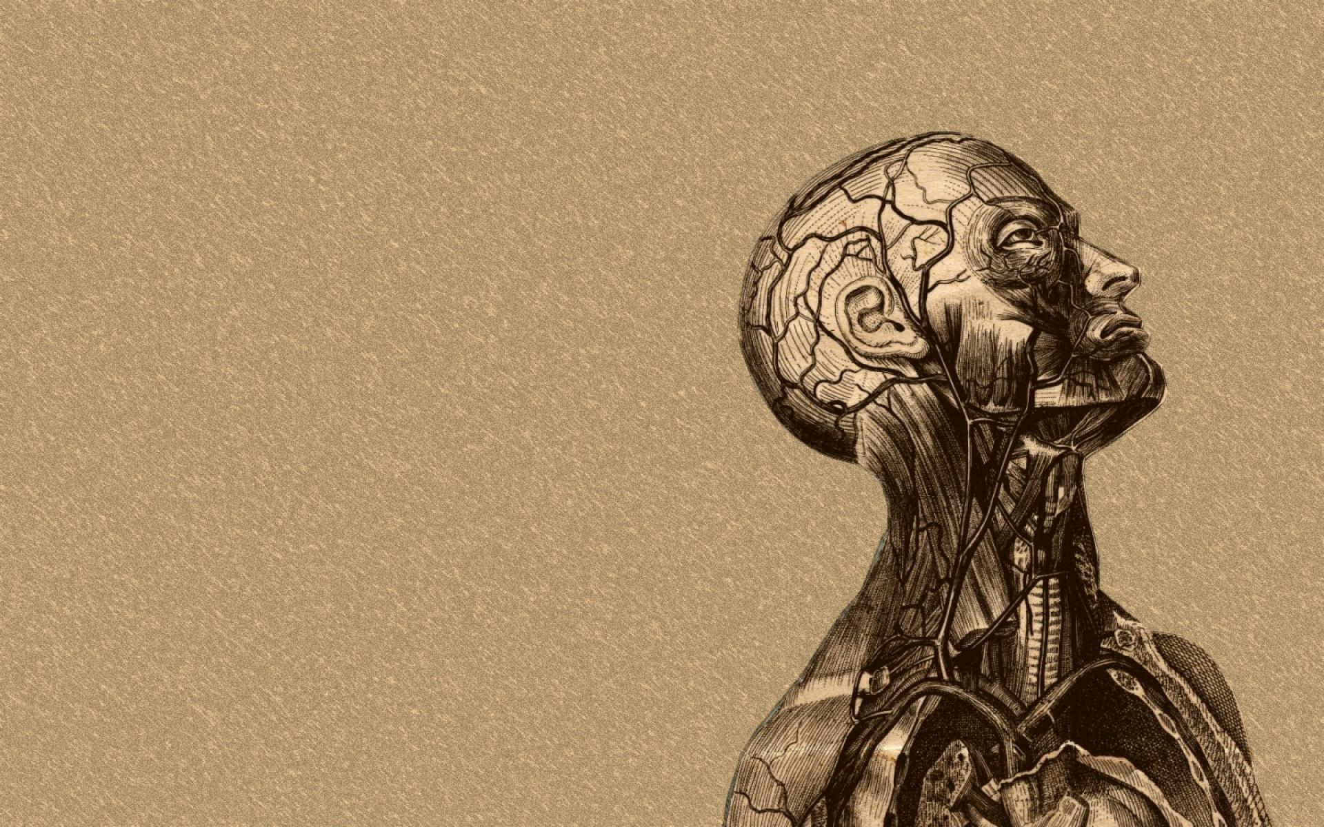 1920x1200 Medical Wallpaper HD Full #B177OAC. EDecorati.com™