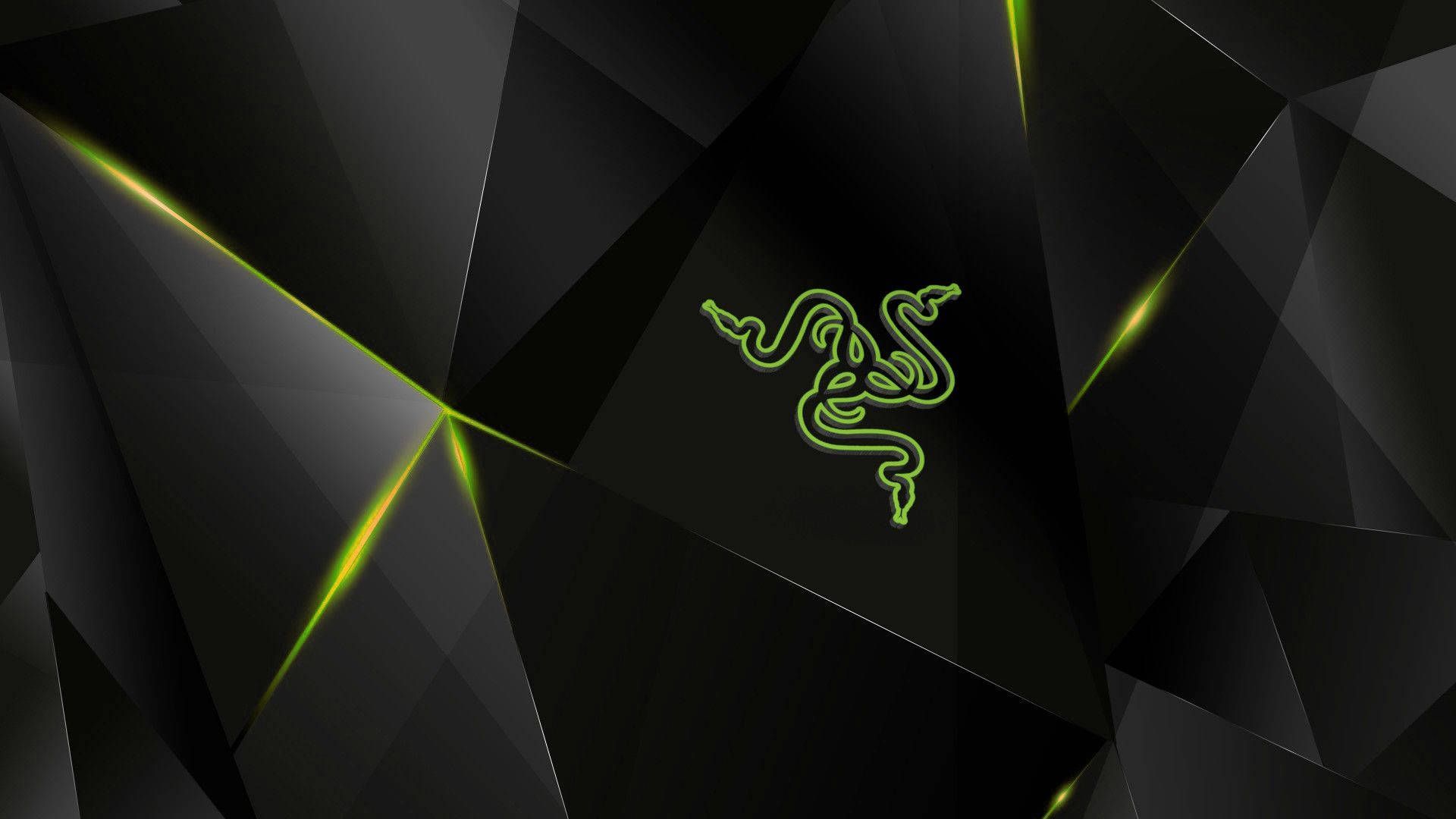 Razer Room Wallpapers Top Free Razer Room Backgrounds WallpaperAccess