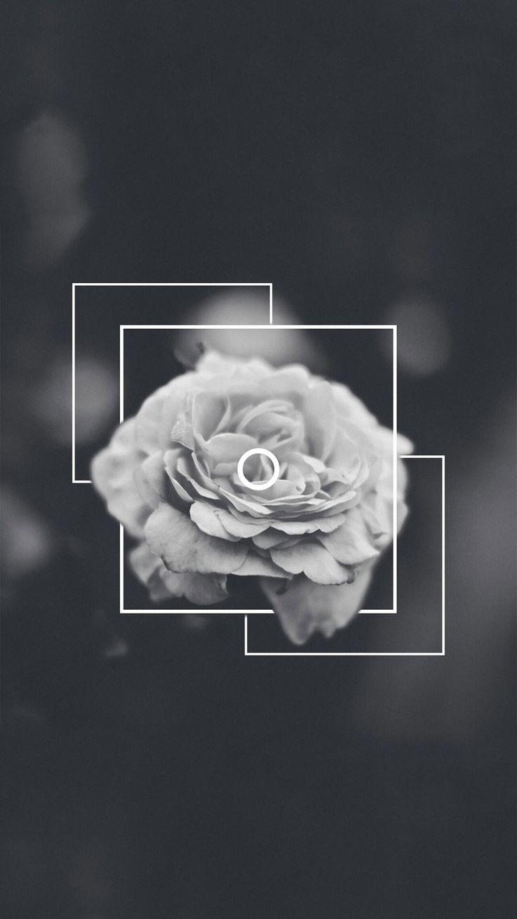 736x1308 Black Aesthetic Wallpaper , free download, (49)-