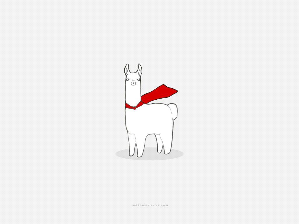 1024x768 Llamas Wallpaper