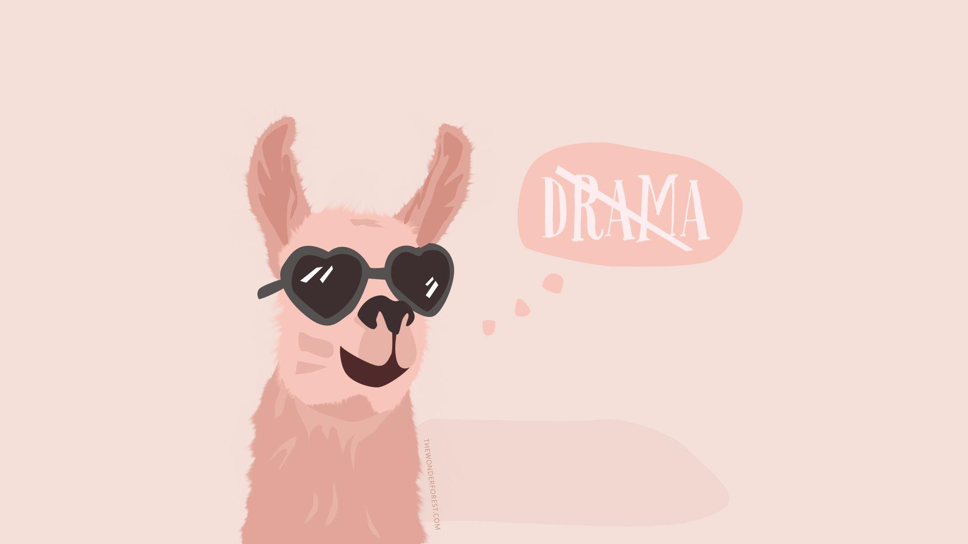 1920x1080 Chile Llama Wallpaper