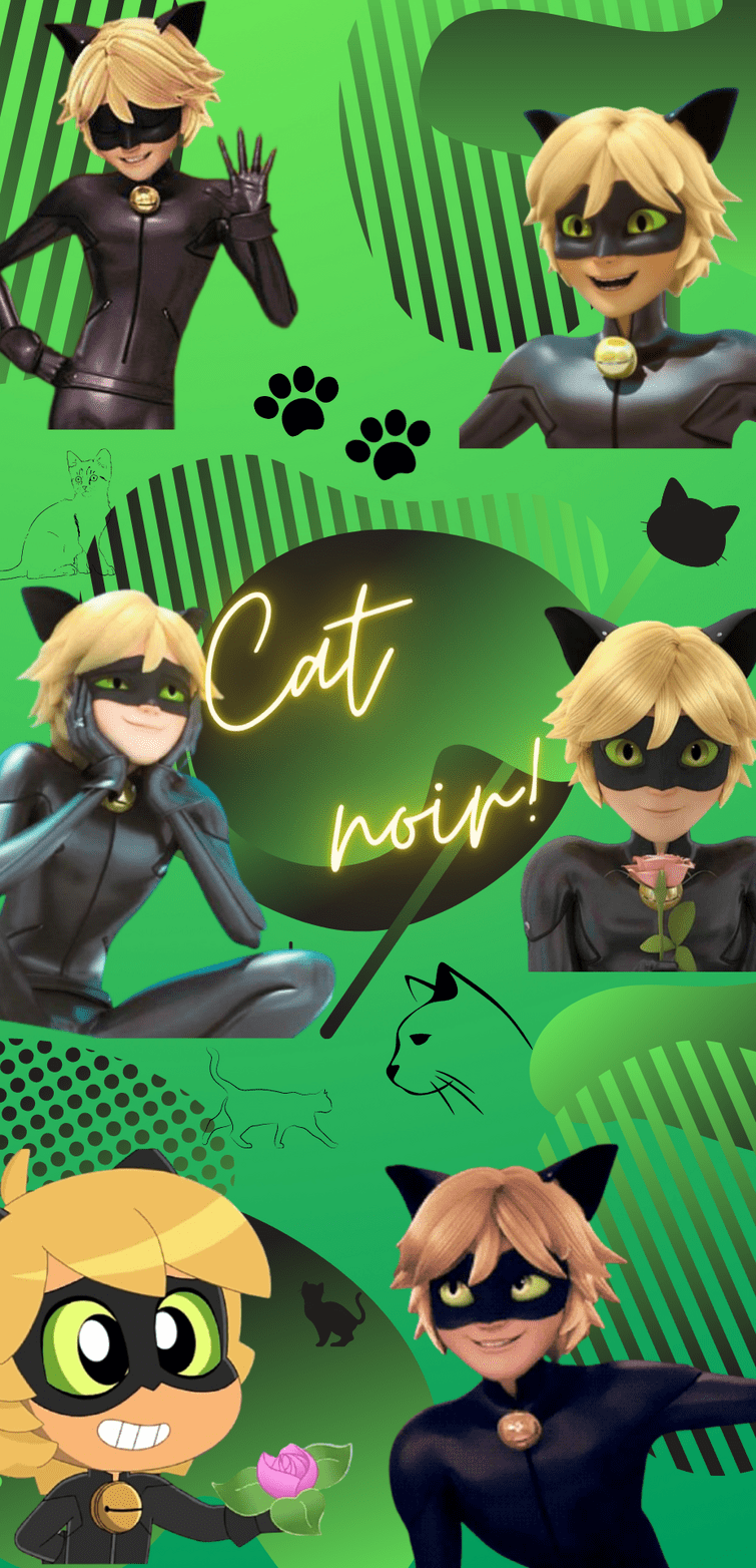 755x1564 I Made A Cat Noir Wallpaper! It's Meow Tiful!