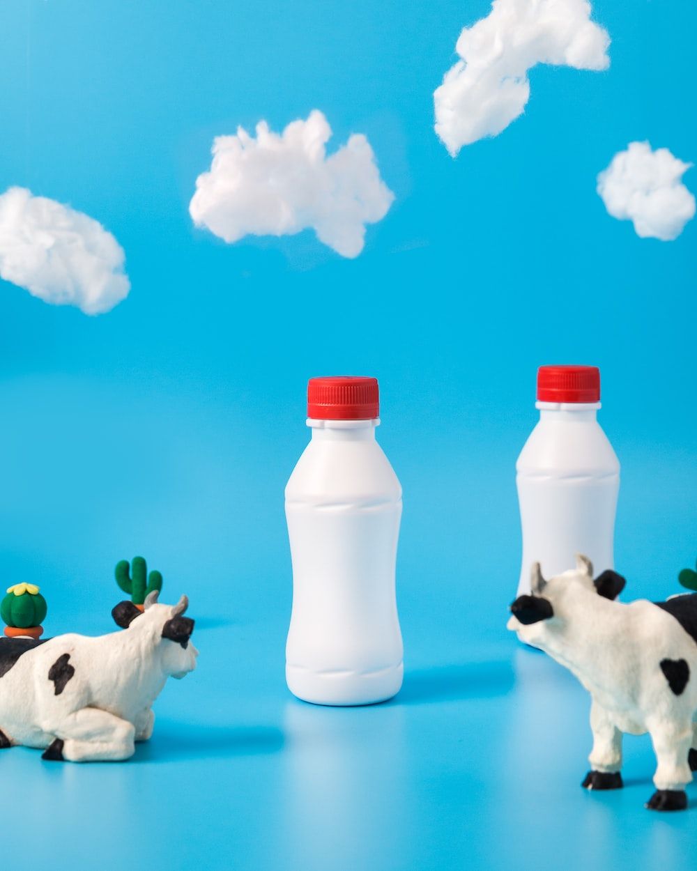1000x1250 Dairy Picture. Download Free Image