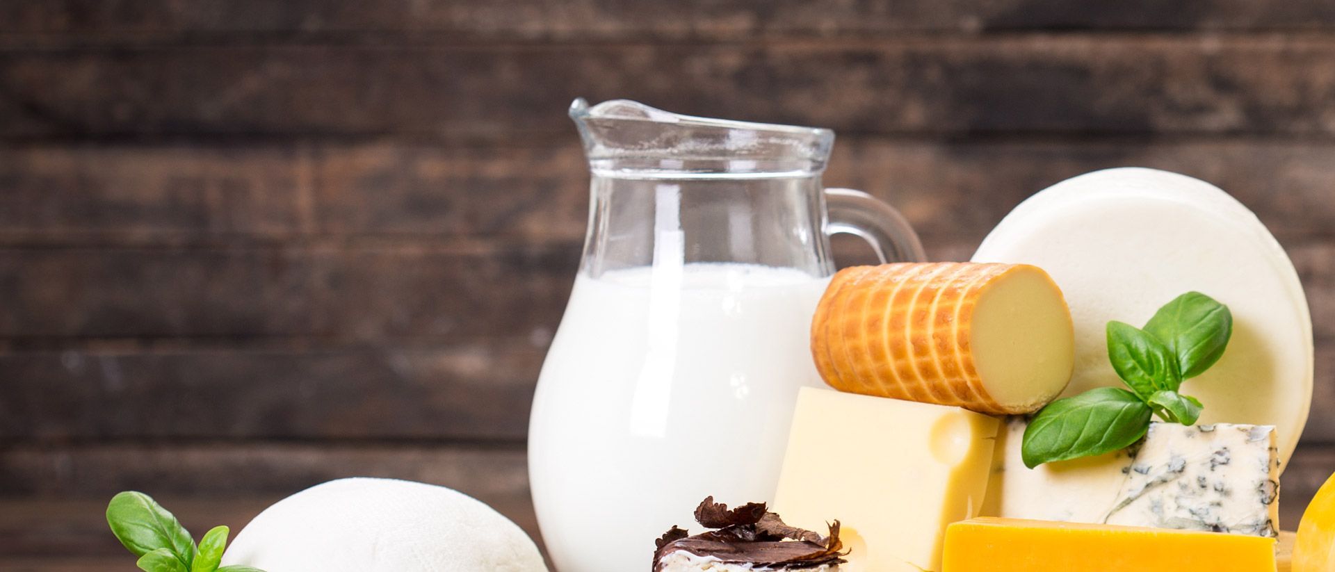 1920x823 Analysis of Dairy