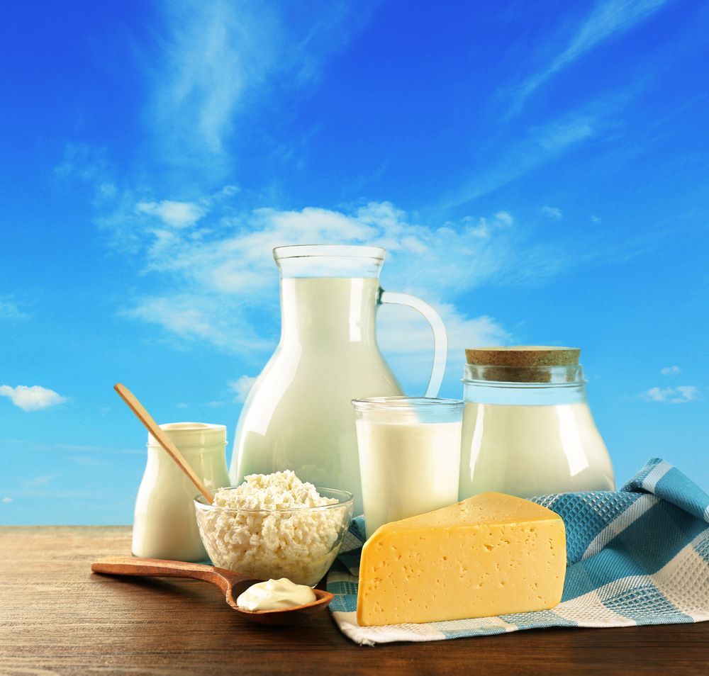 1000x954 Easiest Dairy Products To Digest