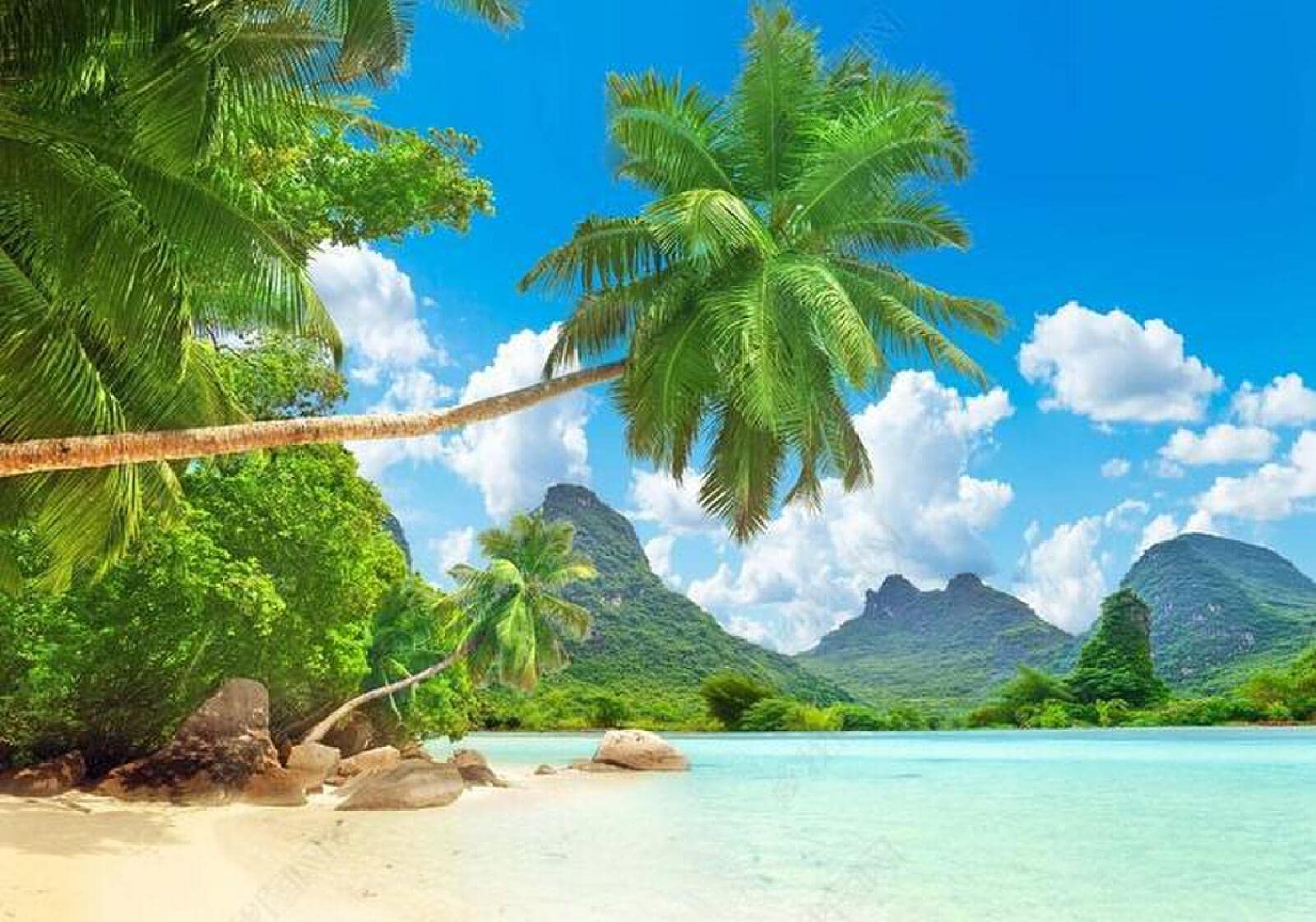1600x1121 Mural Wallpaper 3D Wallpaper Sea View Coconut Tree Hainan Island Maldives Living Room Landscape Painting Background Wall 150Cmx105Cm : Amazon.co.uk: DIY & Tools
