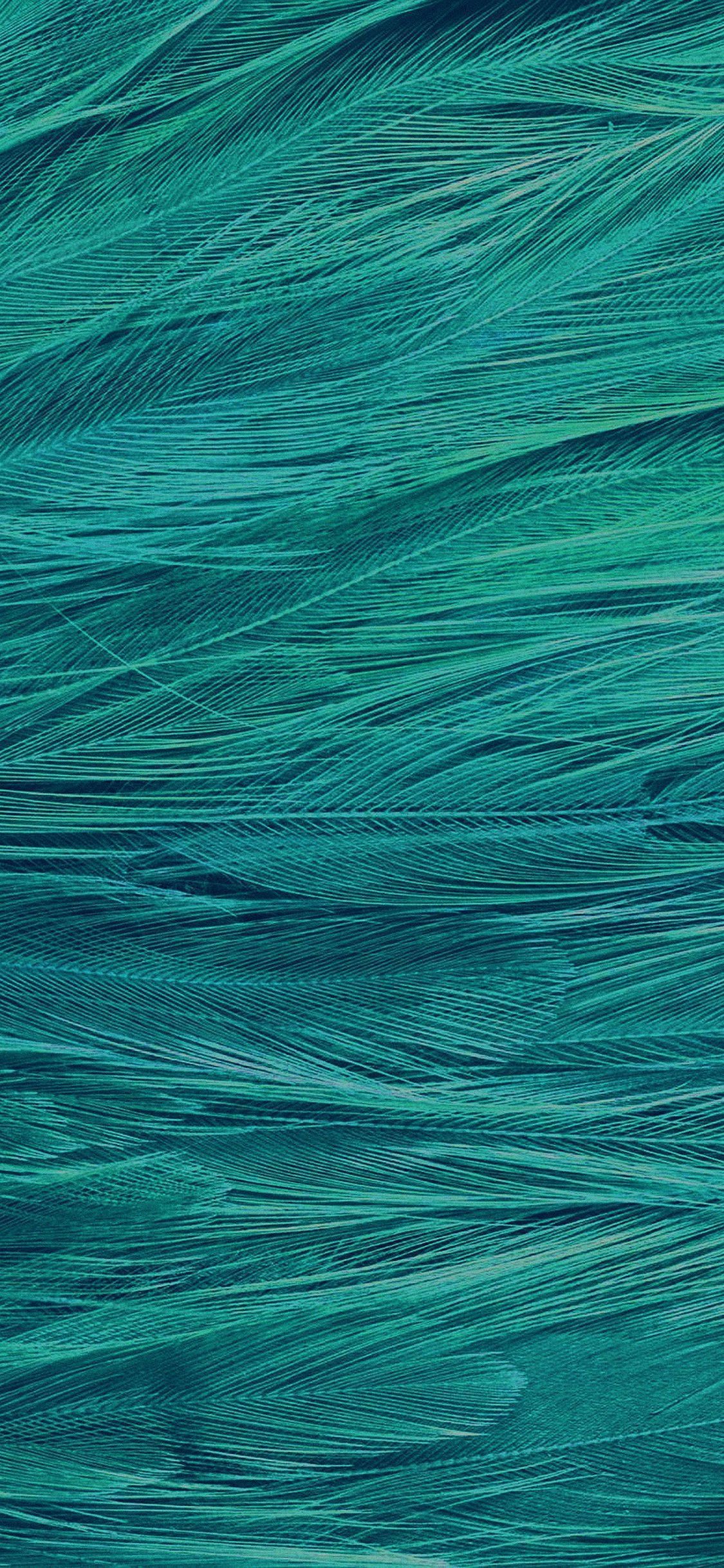1125x2436 Teal color Wallpaper Download