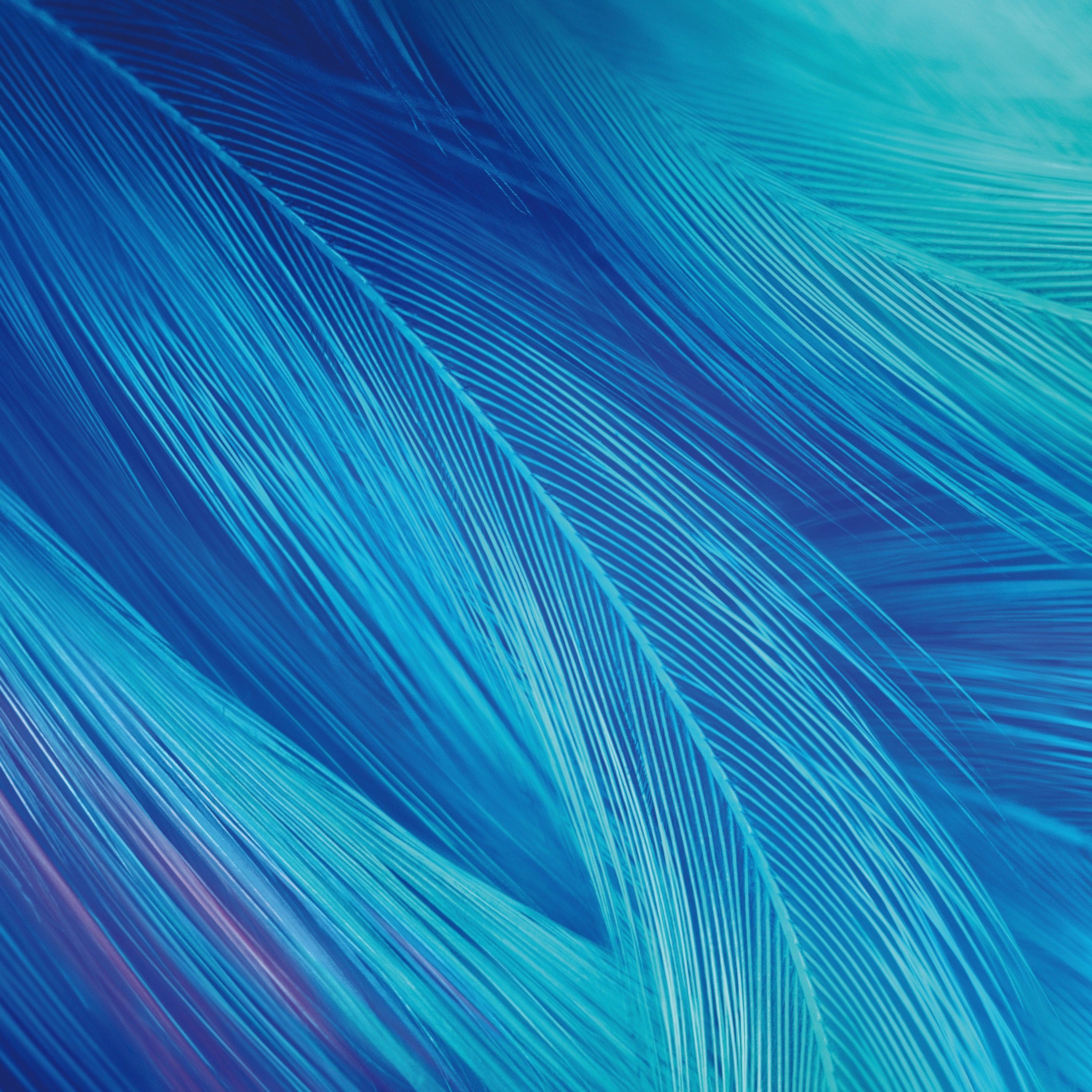2732x2732 Teal 4k Wallpaper